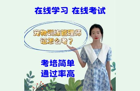 宠物训练管理师证考试流程详解