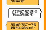 被动物咬伤抓伤应急处理指南：如何选择疫苗？