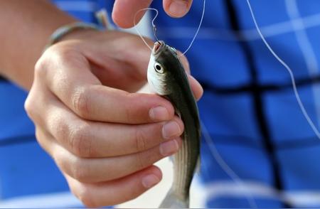 钓鱼新手必学的7大技巧！轻松从小白变大神