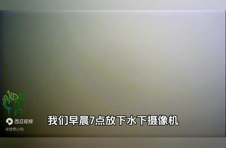 雨后钓鱼，你真的会钓吗？实测告诉你答案