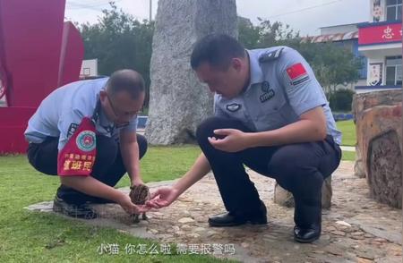 萌态可掬！神秘豹猫惊现派出所求助