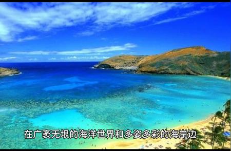 寄居蟹的生活习性：探索海洋小居民的奇妙世界