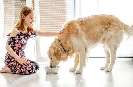 2024年度成犬狗粮十大品牌榜单揭晓！