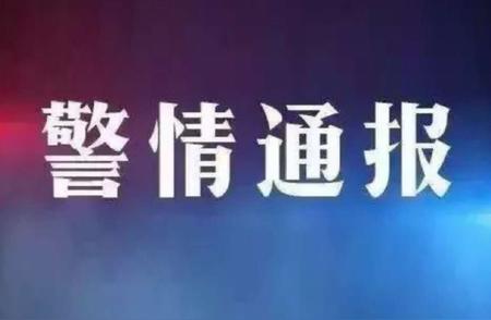 上海男子精神异常划伤宠物狗事件震惊邻里！警方已介入调查