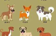 萌犬大全：世界上最受欢迎的狗狗品种及发源地