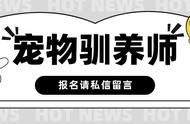 宠物驯养师报名指南：如何迈出第一步？