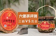 六堡茶两大品牌硬核PK：评测结果揭晓，你选对了吗？