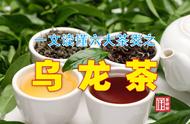 深度解析六大茶类：乌龙茶的全面解读