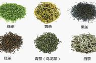 黄茶基础知识全面解析