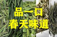 春日新茶，一口尝尽春天的味道：10款名优绿茶推荐