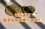 白茶购买指南：散茶和饼茶，哪个更适合新手？