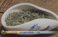 信阳毛尖：爱茶者必须注意的5个关键因素