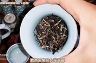 老白茶散茶与饼茶：冲泡方式的差异