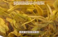 黄茶小知识：你知道多少？