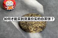 如何选择白茶饼？普通茶客的6个实用指南