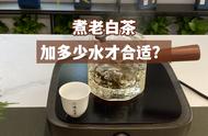 如何正确煮老白茶？300ml、500ml、700ml的水量选择