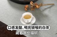 白茶口感酸涩，喝完后喉咙不适，听听村姑陈的建议，这些情况的白茶别再喝了