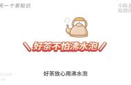 红茶泡法大揭秘：3种方法不伤口感，你中招了吗？