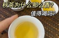 秋茶的香气从何而来？值得品尝吗？