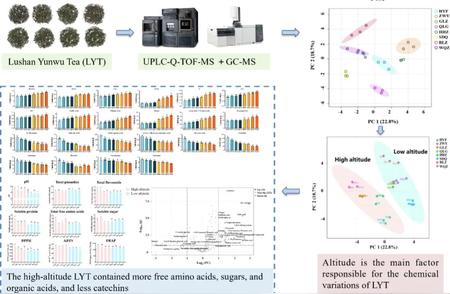 庐山云雾茶：代谢组学揭示的品质差异