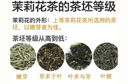 茉莉花茶等级详解：一张图轻松分辨