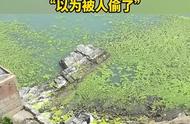 山东钓友神操作：车辆变海钓船，钓鱼新境界！