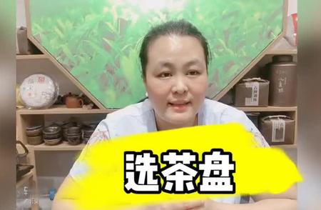 茶盘知识大解密：老茶客小卢分享经验