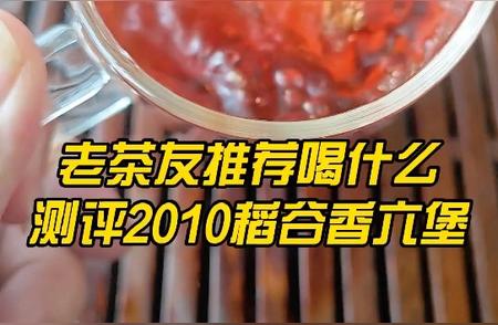 老茶友力荐：2010年稻谷香六堡茶全面测评