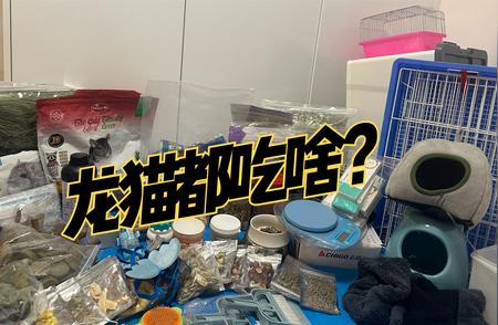 精选宠物用品大集合！你不可错过的宠物必备品！