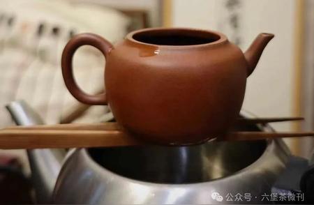 六堡茶“仓味”过重？试试这些去味方法！