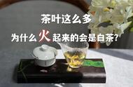 白茶崛起之谜：为何成为茶叶界的新宠？