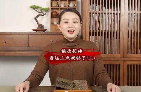 如何挑选优质茯砖：三大要点揭秘