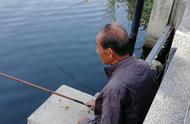 钓鱼新手必读：一位经验丰富的钓鱼者的八年经验分享