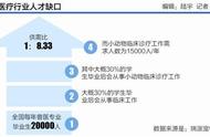 揭秘宠物医疗：看病费用、医生短缺与专业度提升的挑战