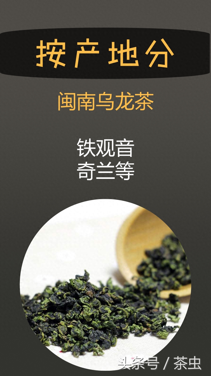 乌龙茶究竟有哪些？