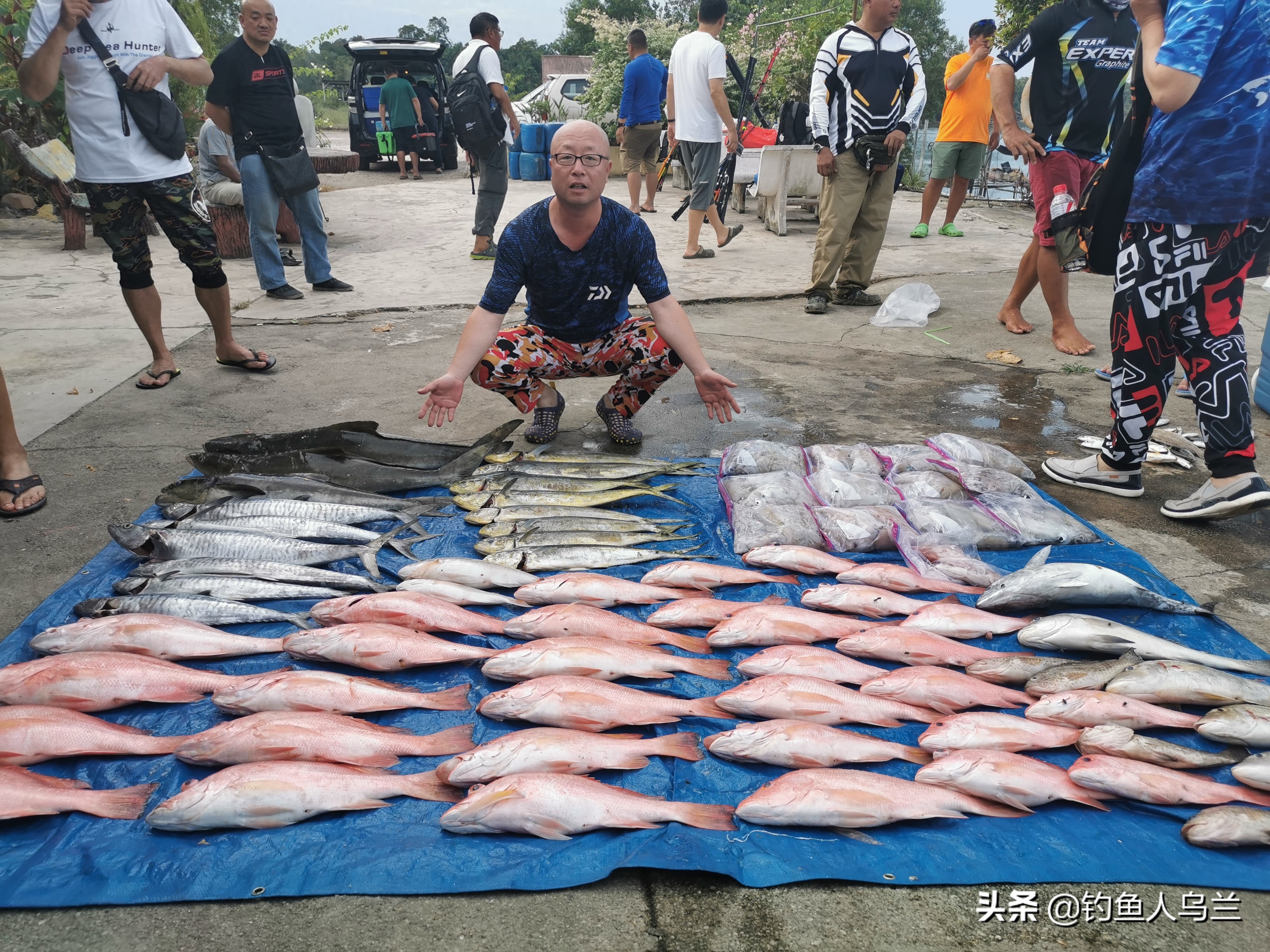 它是地球上游速最快的鱼种，也是钓鱼人的终极梦想——旗鱼