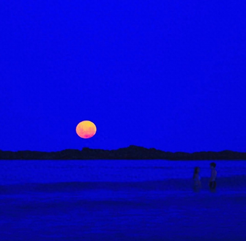 澳海湾现生物发光现象 霓虹蓝照亮夜空