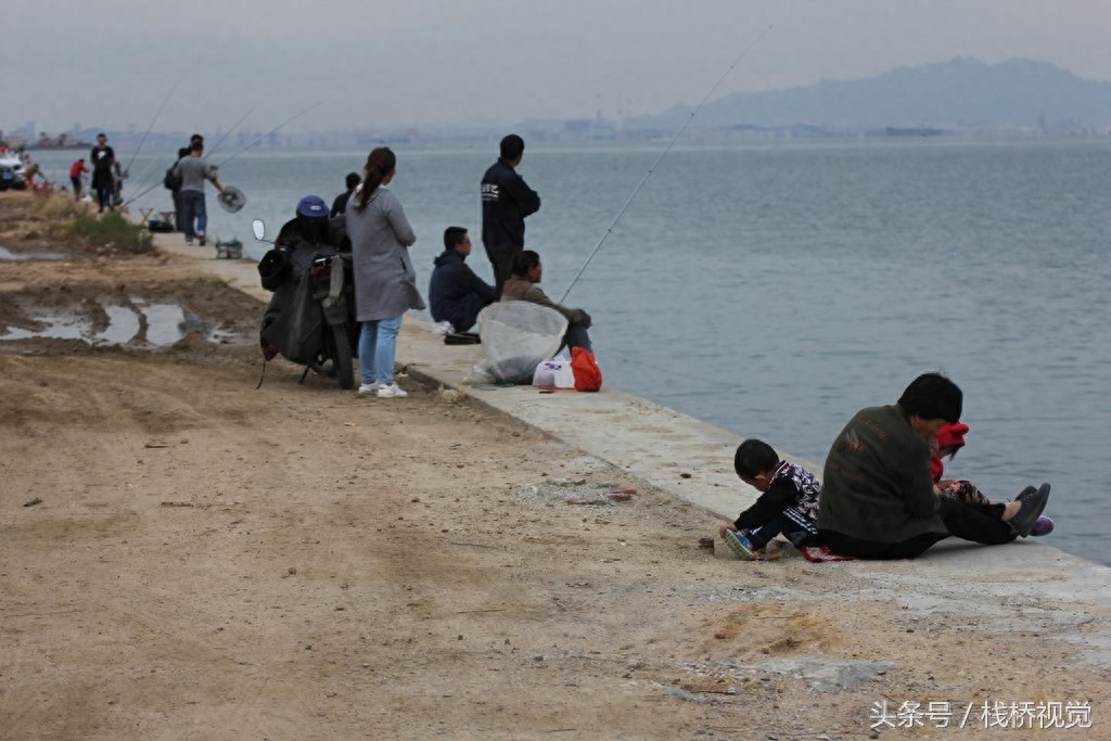 两男子胶州湾出海8小时钓得30多斤海鲈鱼光鱼章鱼，钓鱼苦钓鱼乐